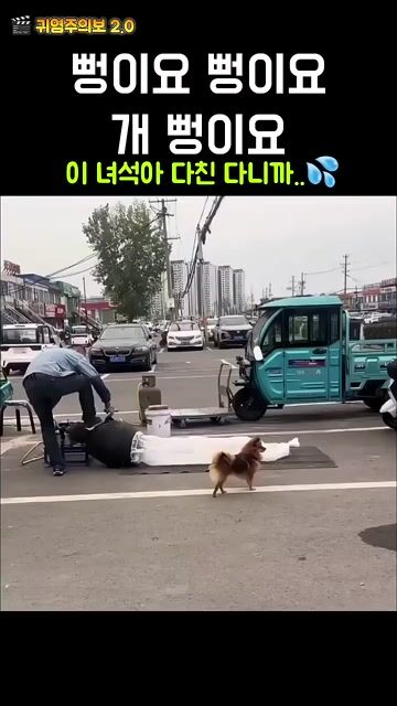뻥이요!! 